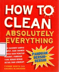 HOW to Clean Absolutely everything